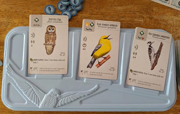 Three bird cards face up on a light blue tray for the game Wingspan.