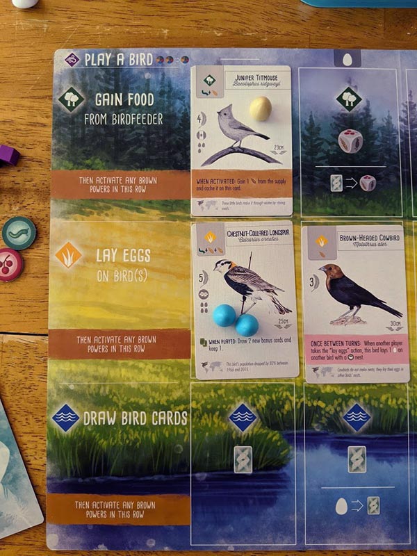 Overhead view of Wingspan player mat showing action choices. Bird cards and eggs also placed on mat.